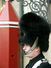 Denmark - Copenhagen / Kbenhavn / CPH: guard at the Slot - tall fur hat - photo by G.Friedman