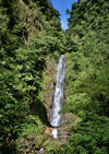 Dominica - Inland water falls - Morne Trois Pitons National Park - Unesco world heritage site (photo by G.Frysinger)