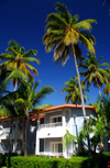 Punta Cana, Dominican Republic: accommodation units and coconut trees - Riu Bambu hotel - Arena Gorda Beach - photo by M.Torres