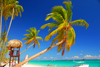 Punta Cana, Dominican Republic: coconut trees lean over a perfect beach - Arena Gorda Beach - photo by M.Torres