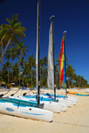 Punta Cana, Dominican Republic: catamarans on the sand - Arena Gorda Beach - photo by M.Torres
