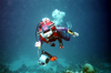 Egypt - Red Sea - dip in the Red Sea - scuba diving - underwater photo by W.Allgwer - Frau beim Sporttauchen. Im Vordergrund stehen dabei krperliche Bettigung und Spa. Die Ausbildung wird von verschiedenen Organisationen, in Deutschland etwa dem VDST