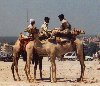 Egypt - Gizah: camels and the police patrol (photo by Miguel Torres)