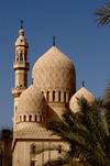 Egypt - Alexandria:  Abu Abbas al Mursi mosque - elegant domes (photo by John Wreford)