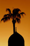 Egypt - Alexandria:  Abu Abbas al Mursi mosque - dome at sunset (photo by John Wreford)
