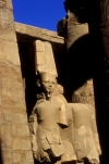 Egypt - Karnak: statues (photo by J.Wreford)