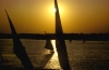 Egypt - Luxor: the Nile - sails at sunset - feluccas (photo by J.Wreford)