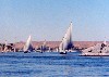 Egypt - Aswan: feluccas sailing on the Nile (photo by Miguel Torres)