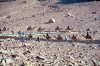 Egypt - Sinai desert: following old tracks (photo by Juraj Kaman)