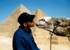 Egypt - Giza: kissing a camel (photo by J.Kaman)