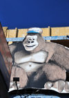 San Salvador, El Salvador, Central America: gorilla sign on 6a calle poniente - photo by M.Torres