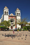 San Salvador, El Salvador, Central America: Metropolitan Cathedral and pigeons on Plaza Barrios - centro histrico - photo by M.Torres