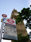 London: Big Ben and bus stop - photo by K.White