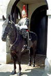 London: mounted guard - Horse Guards - Whitehall - Westminster (photo by M.Bergsma)