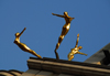 London, England: gilded synchronised divers - sculpture 'Three Graces' by Rudy Weller - roof of the Criterion Building - Piccadilly Circus - photo by Miguel Torres