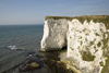 Old Harry Rocks, Jurassic Coast, Dorset, England: white cliffs over the English Channel - UNESCO World Heritage Site - photo by I.Middleton