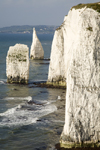 Old Harry Rocks, Jurassic Coast, Dorset, England: vertical cliffs and the Pinnacles - Handfast Point - UNESCO World Heritage Site - photo by I.Middleton