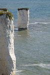 Old Harry Rocks, Jurassic Coast, Dorset, England: sea stack of chalk and the foreland - UNESCO World Heritage Site - photo by I.Middleton
