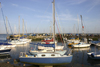 Lee on Solent, Gosport, Hampshire, South East England, UK: boats and pier - Titchfield Haven marina at Hill Head - photo by I.Middleton