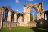 Netley, Hampshire, South East England, UK: Netley Abbey - closed by Henry VIII during the 'Dissolution of the Monasteries' - photo by I.Middleton