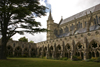 Salisbury, Wiltshire, South West England, UK: Salisbury Cathedral - cloister - Church of England - photo by I.Middleton
