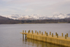 Lake District, North West England, UK: view across Lake Windermere - pier and snow covered mountains - photo by I.Middleton