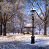 London, England:  snow covers Hyde Park - City of Westminster - photo by A.Bartel