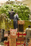 Eritrea - Asmara: unloading a banana truck in the market - photo by E.Petitalot