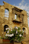 Eritrea - Massawa, Northern Red Sea region: flowers and ruins in the old area of the city - photo by E.Petitalot