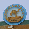 Eritrea - Asmara: camel - Eritrean coat of arms on a public building - photo by E.Petitalot