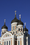 Estonia, Tallinn: Alexander Nevsky Cathedral - Russian Revival style - photo by J.Pemberton
