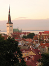 Estonia - Tallinn: Old Town and St. Olav's church / St. Olaf / Tallinna vanalinn ja Oleviste kirik  - photo by J.Kaman