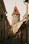 Estonia - Tallinn: Mrivahe Street - photo by C.Schmidt