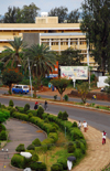 Bahir Dar, Amhara, Ethiopia: wide avenue - street scene - the city was founded by Portuguese Jesuits - photo by M.Torres