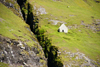 Vestmannasund sound, Streymoy island, Faroes: isolated house on a green slope - photo by A.Ferrari