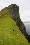 Kalsoy island, Noroyar, Faroes: vertical cliff face near the Kallur lighthouse - Djpini - photo by A.Ferrari