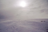 Finland - Lapland - snow horizon - Arctic images by F.Rigaud