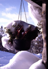 Finland - Lapland - Saarselk - flower vase in the snow - Arctic images by F.Rigaud