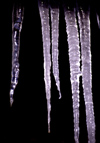 Finland - Lapland - ice stalactites in the night - Arctic images by F.Rigaud