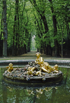 Versailles, Yvelines, le-de-France, France: fountain with gilded statues in the gardens of Versailles Palace - photo by C.Lovell