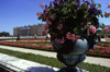 Versailles, Yvelines dpartement, France: Palace of Versailles / Chteau de Versailles - flower vase, garden and castle - photo by Y.Baby