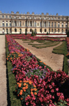 Versailles, Yvelines dpartement, France: Palace of Versailles / Chteau de Versailles - flower beds and the palace - parterre - UNESCO world heritage - photo by Y.Baby