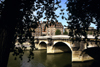 Paris: Pont Neuf and trees - photo by Y.Baby