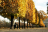 Paris: Tuileries Garden and the Louvre - Autumn - photo by Y.Baby