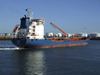 Le Havre, Seine-Maritime, Haute-Normandie, France: FS Sara Chemical Tanker, starboard side - fuel tanks - photo by A.Bartel