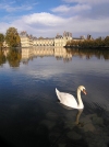 France - Fontainebleau  (Seine et Marne): the palace - swan (photo by J.Kaman)