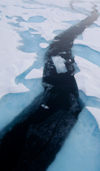 36 Franz Josef Land: Ice Lead or crack formed by ship - photo by B.Cain