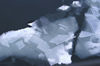 37 Franz Josef Land: Ice shards - photo by B.Cain