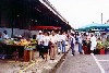 Cayenne: Market on avenue Monerville (photo by Bernard Cloutier)