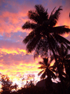 French Polynesia - Moorea / MOZ (Society islands, iles du vent): palms at dusk - photo by R.Ziff